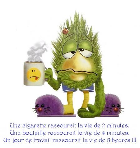 DESCRIPTION DE LA VIE